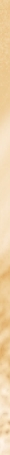 fondcopy